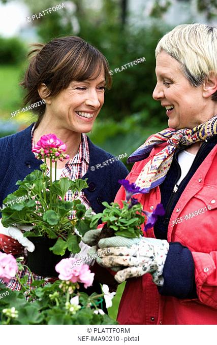 Two women setting flowers in pots, Sweden