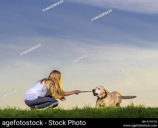 Young woman playing with dog, Labrador Retriever, sunset, Schorndorf, Baden-Württemberg, Germany, Europe