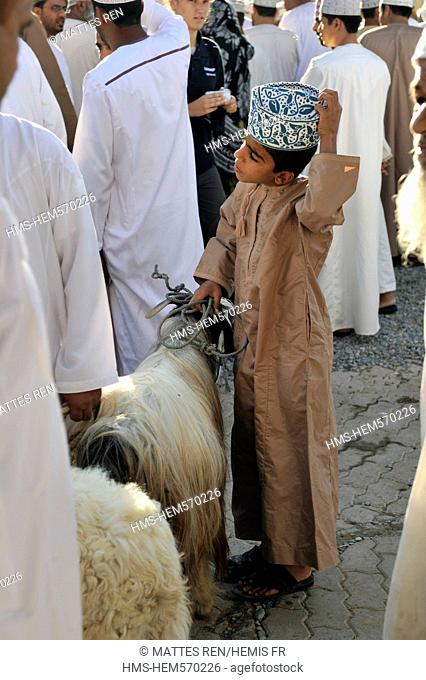 Sultanate of Oman, Al Dakhiliyah Region, Western Hajar Mountains, Nizwa, Friday cattle market