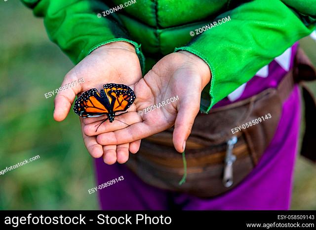 A close up high angle shot of a calm Monarch Butterfly resting on the palm of the hands of a caucasian child, connection with nature, copy space to right