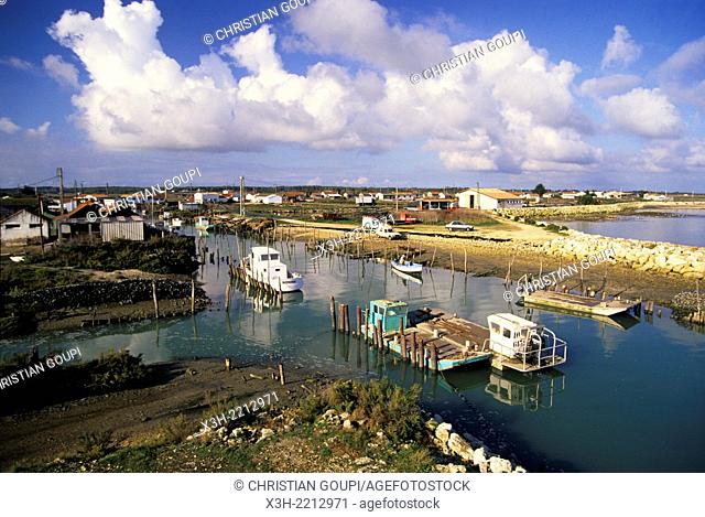 Oleron island, Bay of Biscay, tideway on Oleron Island, Charente-Maritime department, Poitou-Charentes region, France, Europe