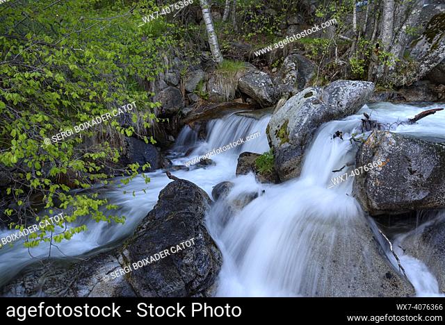Salt del Molí waterfall, in the Llosa valley in spring (Cerdanya, Catalonia, Spain, Pyrenees)
