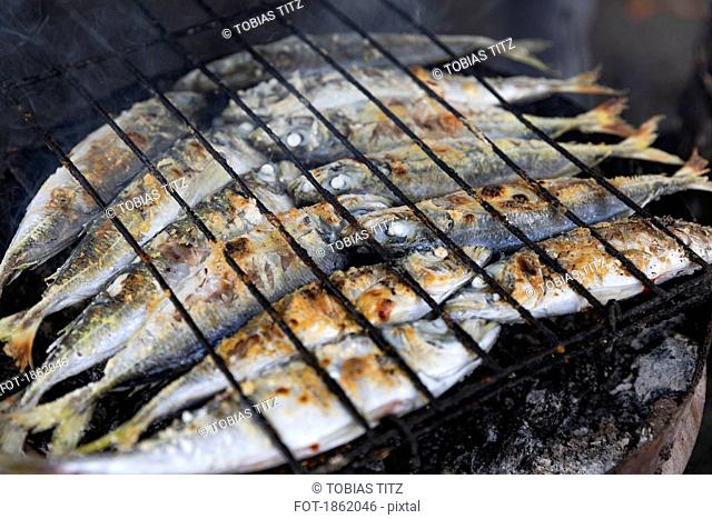Whole sardines cooking on barbecue grill