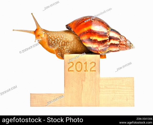 Snail on 2012 podium isolated