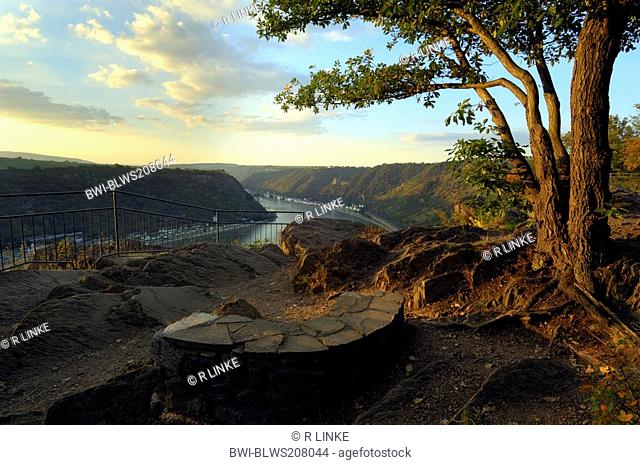 view from the Loreley on the Rhine Valley, Germany, Rhineland-Palatinate