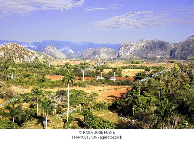 Cuba, Pinar del Ri, Viñales District, Sierra de Organos, scenery, landscape, Mogotes-stone hill