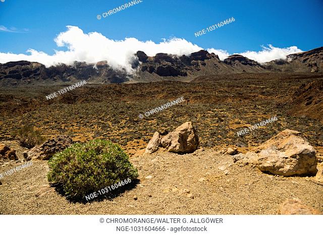 Vulkanlandschaft, Hochebene, Parque Nacional de las Cañadas del Teide, Teide-Nationalpark, UNESCO Weltnaturerbe, Teneriffa, Kanarische Inseln, Spanien, Europa