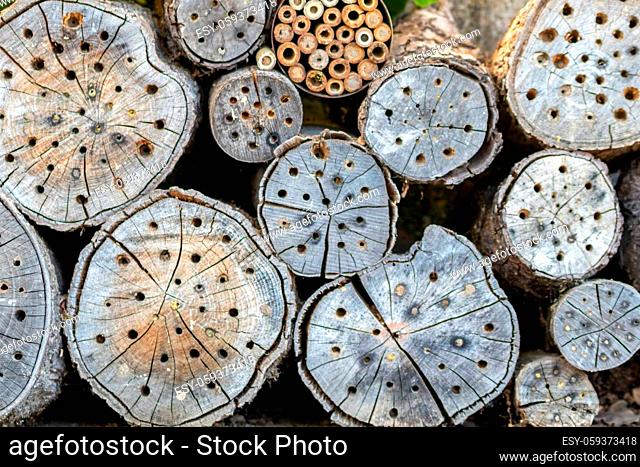 Organic bee hotel as nesting place with holes in wood for nature protection of species and hole nestings bees of beekeepers as natural habitat for wild bees and...