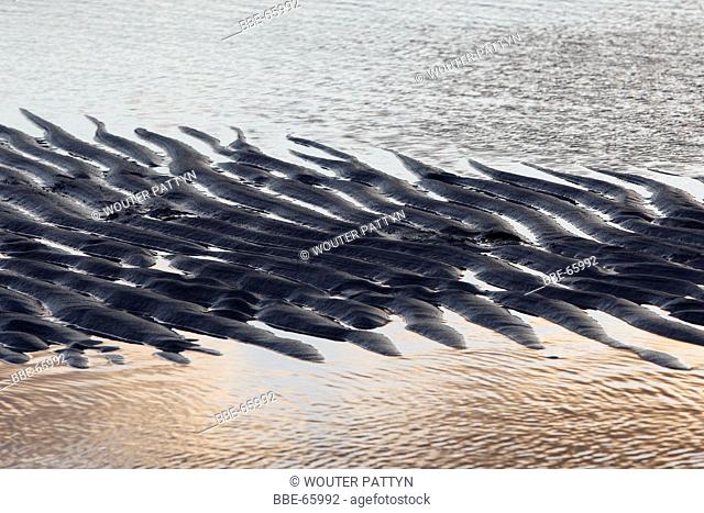 Sand ripples, Belgium