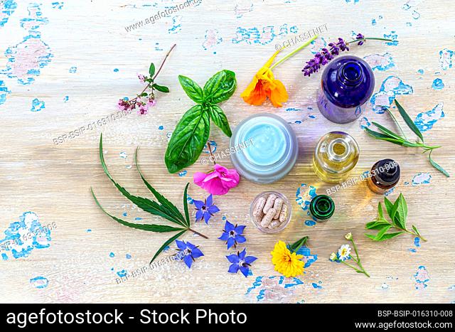Medicinal plants around cosmetics, food supplements, essential oils, top view for herbal medicine