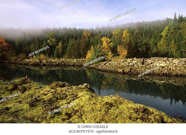 Nisga'a Memorial Lava Bed Provincial Park, lichen encrusted rock and drainage from Lava Lake, British Columbia, Canada