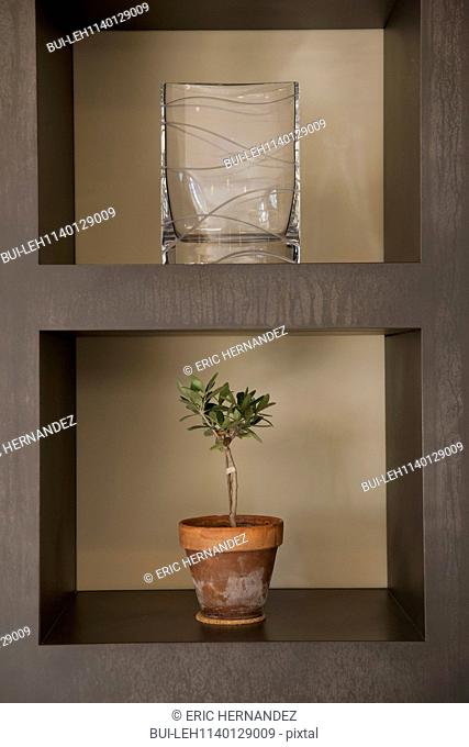 Close-up of glassware and potted plant in built in shelf; Dana Point; California; USA