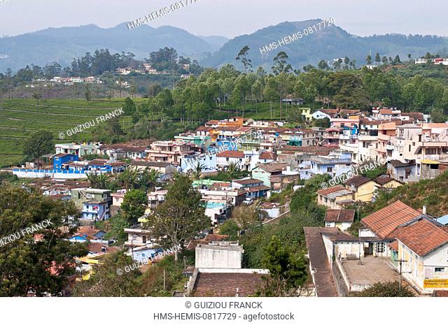 India, Tamil Nadu State, the village of Kotagiri in the Nilgiri Hills (Blue Hills)