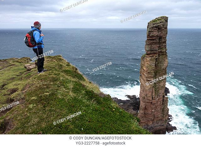 Female hiker stands near cliffs overlooking Old Man of Hoy, Hoy, Orkney, Scotland