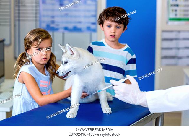 Little children holding a cute puppy and are afraid by the vet injection