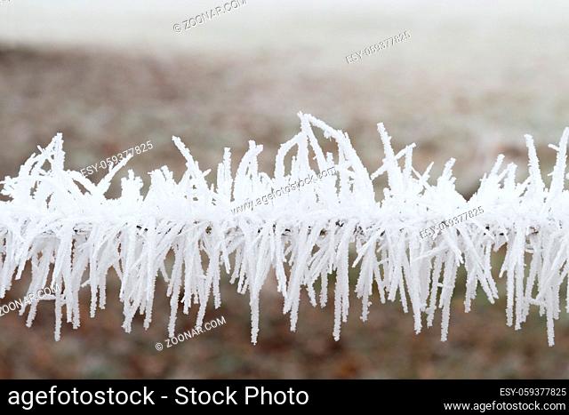 Raureif an einem Zaun white frost on a fence