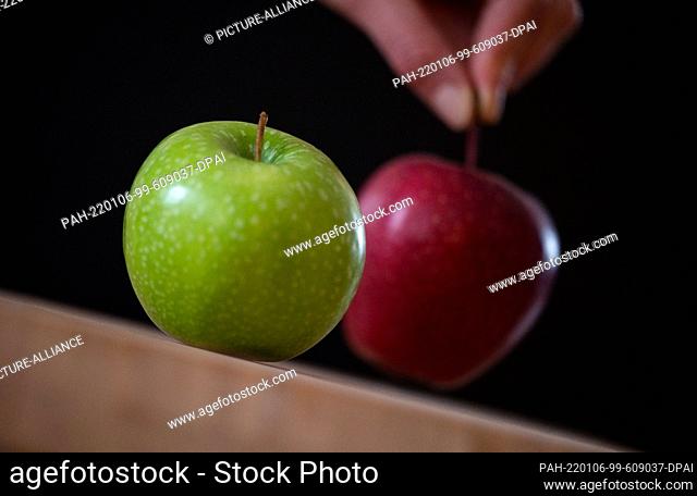 PRODUCTION - 28 December 2021, Baden-Wuerttemberg, Stuttgart: ILLUSTRATION - An apple of the Granny Smith variety stands in front of an apple of the Gala...
