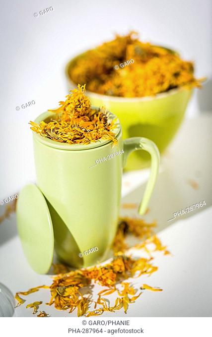 Marigold petals herb (Calendula officinalis) infusion