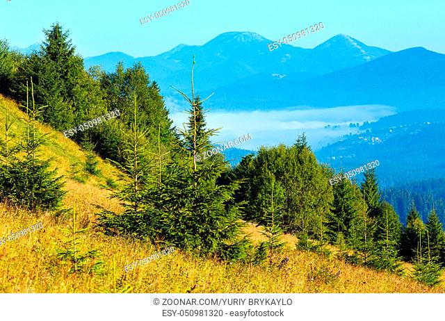 Summer mountain view (Carpathian, Kryvopillja, Verkhovyna district, Ivano-Frankivsk region, Ukraine)
