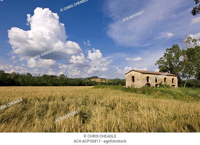 Empty stone farmhouse and wheat fileds in Tuscan countryside near Sienna, Italy