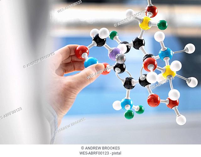 Scientist holding a molecular model
