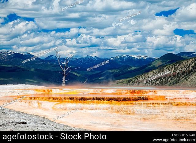 Mammoth hot springs in Yellowstone National Park, USA