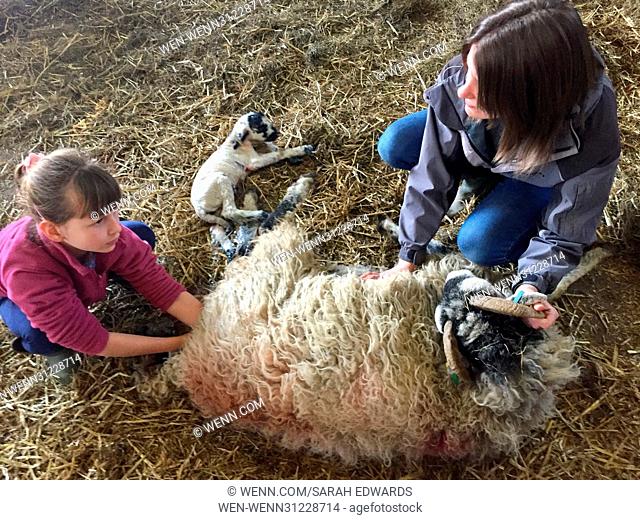Spring is one of the hardest working times of the year for Cumbrian Farmers. Lambing takes place around the clock and for this mother and daughter duo