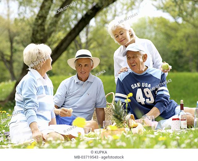 Park, senior pair, cheerfully, picnic, Flower meadow, summers,   Nature, trip, vacation, summer vacation, retirement, pension, leisure time, relaxation
