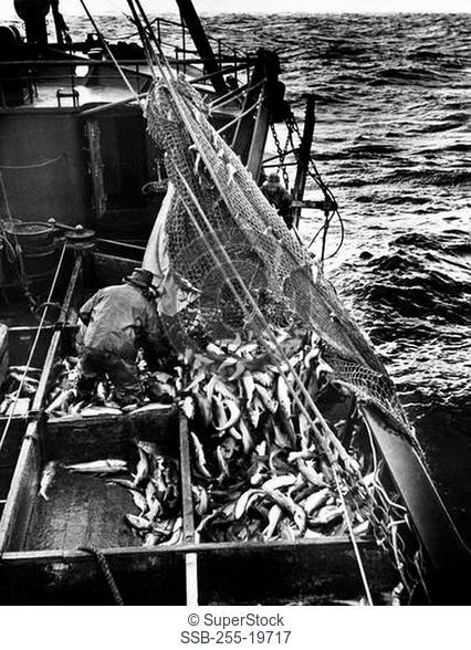 High angle view of a fisherman on a fishing boat