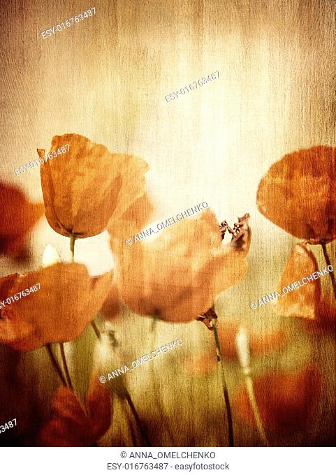 Grunge style photo of poppy flower field, abstract natural background, beautiful textured wallpaper, beauty of nature concept
