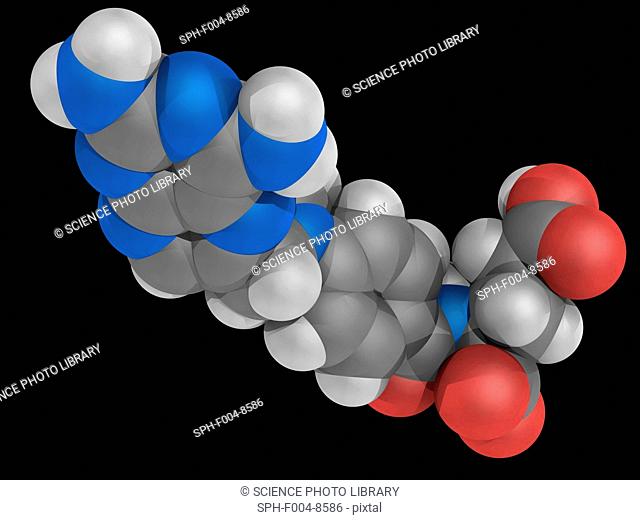 Methotrexate, molecular model. Antimetabolite and antifolate drug used in the treatment of cancer, autoimmune diseases, ectopic pregnancy