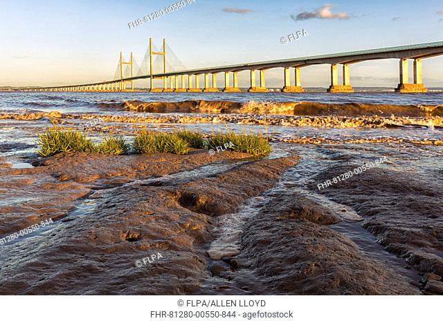 View of road bridge over river at sunset, viewed from Diver's Rock at Sudbrook, Second Severn Crossing, River Severn, Severn Estuary, Monmouthshire, Wales