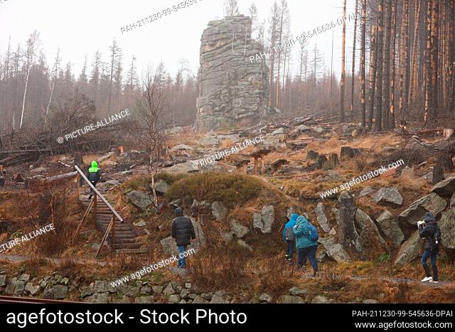 30 December 2021, Saxony-Anhalt, Schierke: Hikers walk past the Schierker Flintstone Rock. At the turn of the year, many visitors opt for a Harz excursion