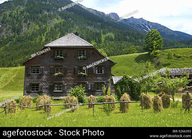 Haymaking, Hinterstein, Bad Hindelang, Bavaria, Germany, hay harvest, haying, Europe