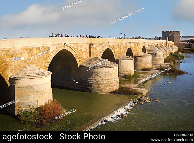 The Roman bridge across the Guadalquivir river. The bridgeâ. . s origins go back to the first century BC, to Roman Cordoba