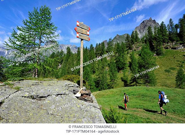 Italy, Piedmont, Alpe Devero natural park