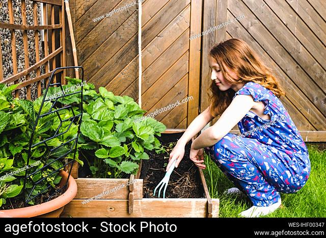 Girl planting basil in raised bed at yard