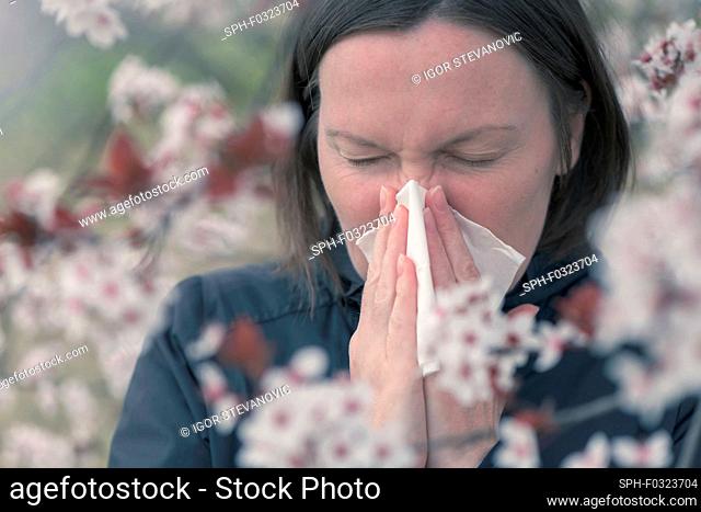 Tree pollen allergy, conceptual image