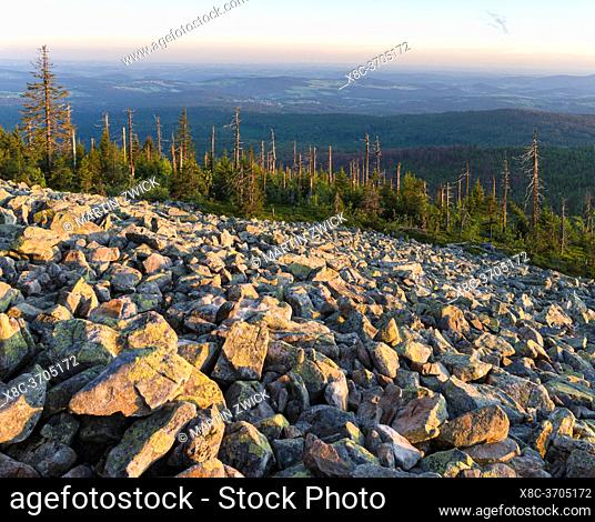 The blockfield of Mt. Lusen. View from the peak of Mt. Lusen in the National Park Bavarian Forest (NP Bayerischer Wald). Europe, Germany, Bavaria