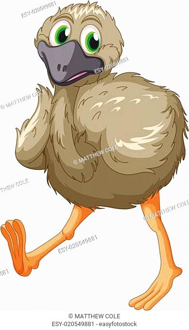 Emu cartoon