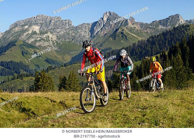 Mountain bikers during the ascent of Mt Mittelberg, Hugeligrat ridge, Saanen, Gstaad, Municipality of Saanen, Bernese Oberland, Switzerland, Europe