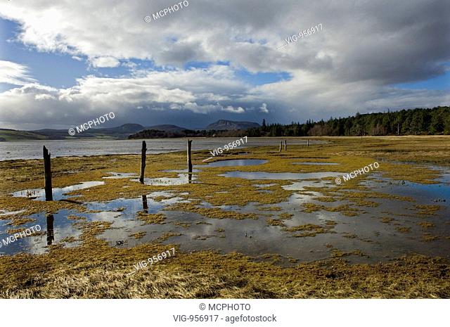 Remnants of an old fenceline step along through water-meadows on the shores of Loch Fleet with distant forests and hills under a moody winter sky, near Golspie