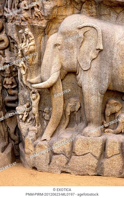 Stone carvings on the face of a rock at Arjuna's Penance, Mahabalipuram, Kanchipuram District, Tamil Nadu, India