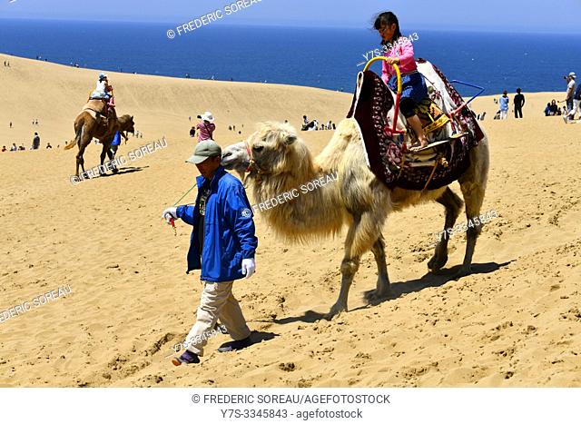 Camel driver with children , Tottori sand dunes, Tottori Prefecture, Japan, Asia
