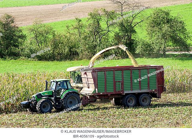 Maize harvest for a biogas plant, Königsberg, Lower Franconia, Bavaria, Germany