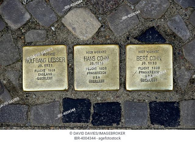 Stolpersteine memorial plaques to fled Jews, Stralsund, Mecklenburg Vorpommern, Germany