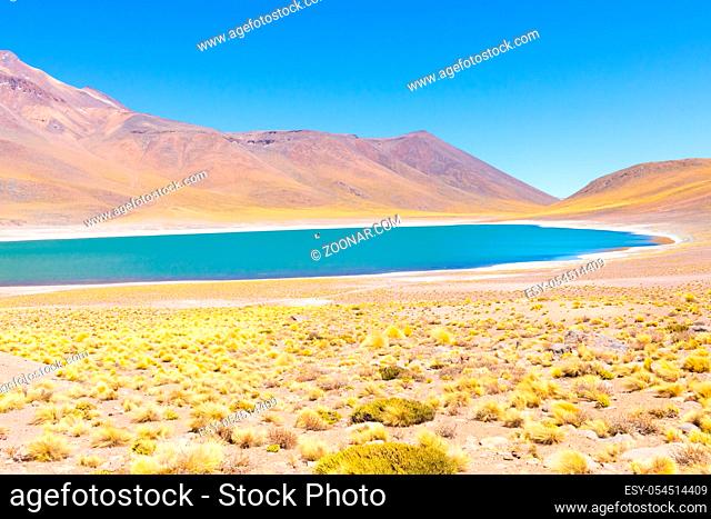 Chile Atacama desert Miscanti Lagoon shores in the morning