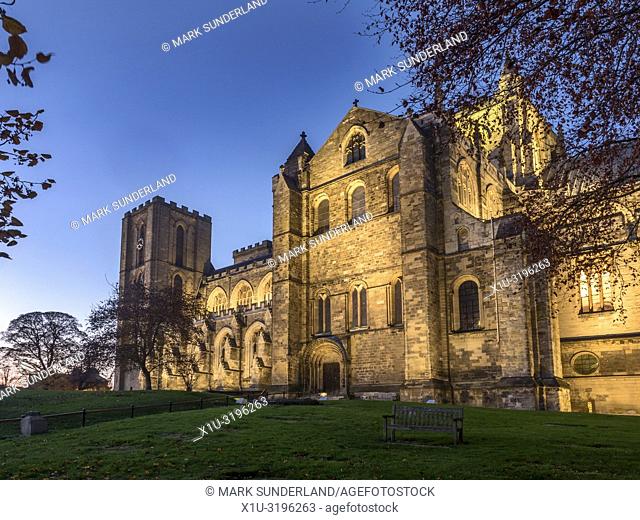 Ripon Cathedral floodlit at dusk in autumn Ripon North Yorkshire England
