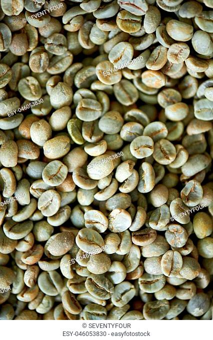 Close up view of fresh green coffee beans laid out evenly, copy space background