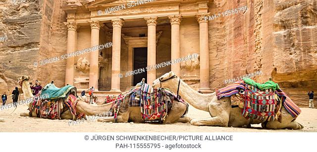 Camels wait in front of the so-called ""The Treasury"" in the rock town of Petra (Jordan) for tourists who do not want to walk the way through the extensive...